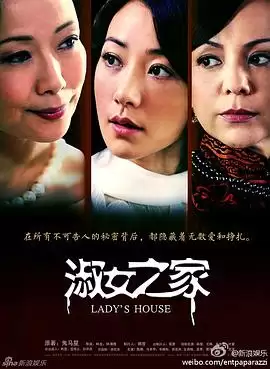 电视剧《淑女之家》剧情说明