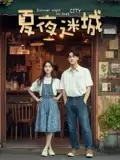 电影《夏夜迷城》剧情介绍
