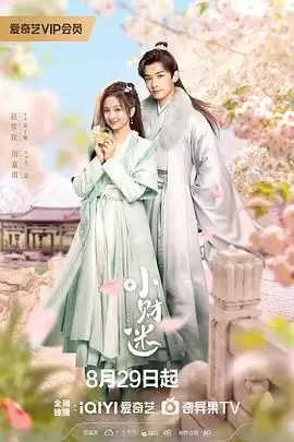 电视剧《小财迷》剧情介绍