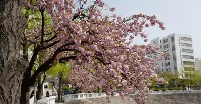 一站我的大学我的朋友很少成就攻略(挑战,友谊,成就)-第2张图片- 一站我的大学我的朋友很少成就攻略(挑战,友谊,成就)-第2张图片-
