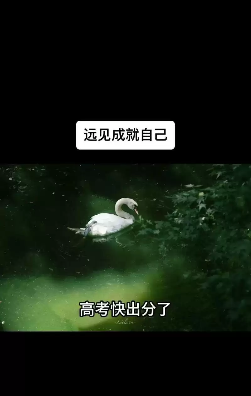 一站我的大学我的朋友很少成就攻略(挑战,友谊,成就)-第3张图片- 一站我的大学我的朋友很少成就攻略(挑战,友谊,成就)-第3张图片-
