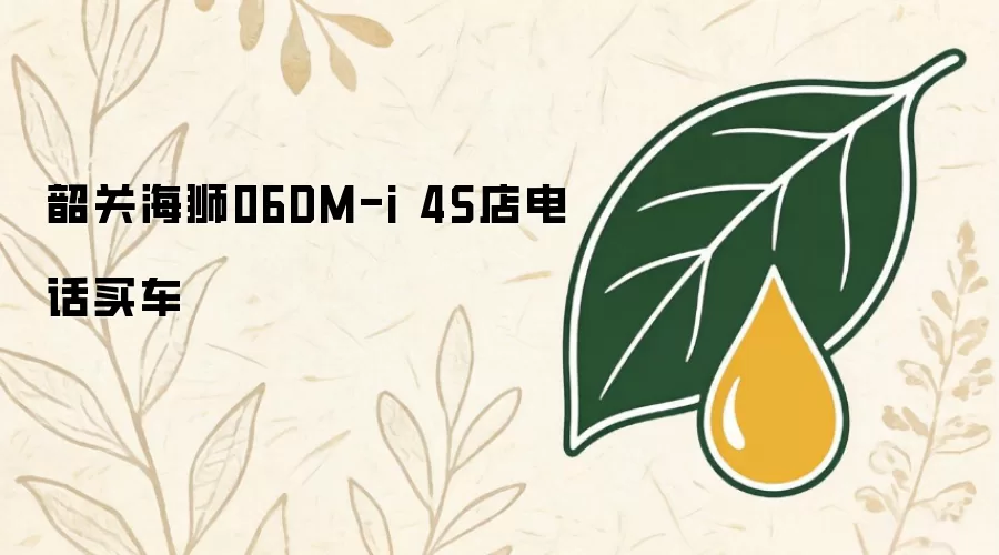 韶关海狮06DM-i4S店电话买车