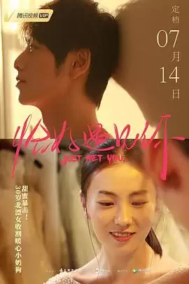 电影《恰好遇见你》剧情说明