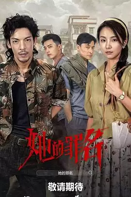 电视剧《她的罪名》剧情说明