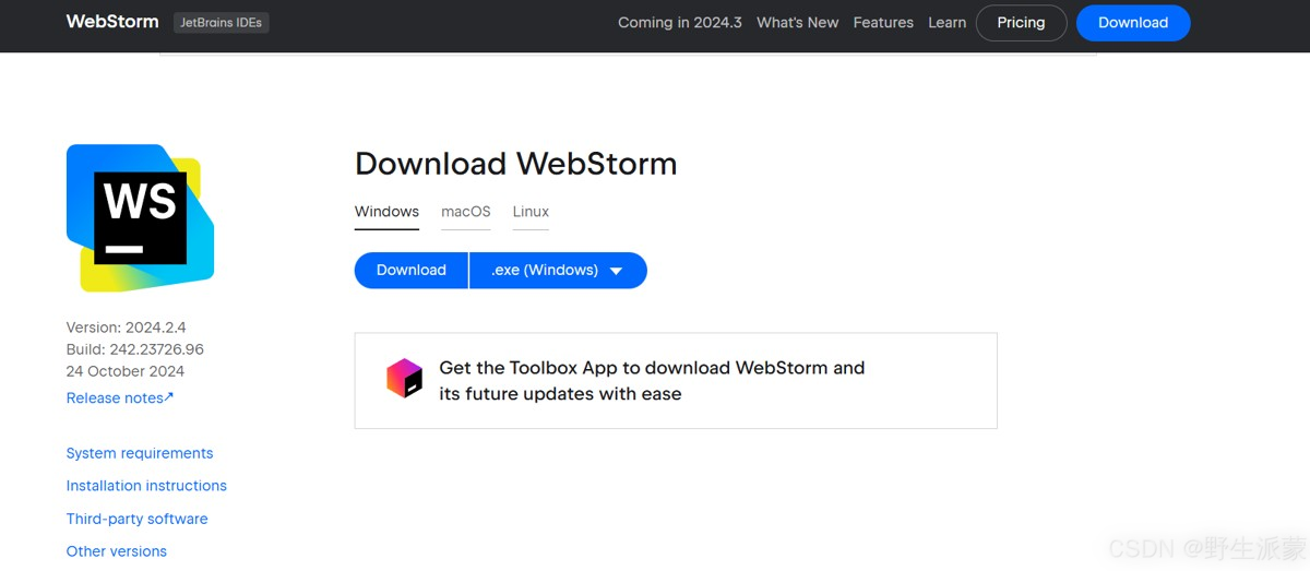 WebStorm安装配置超实用教程实用指南