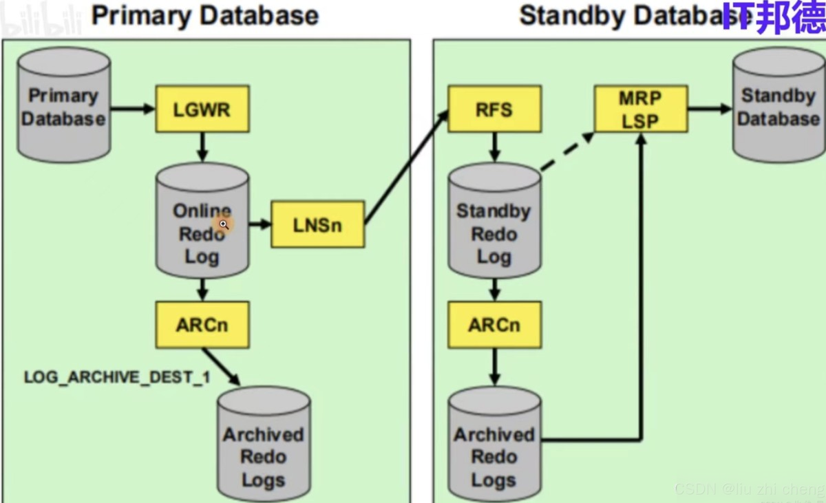 Oracle数据库高可用之DG+RAC完整指南