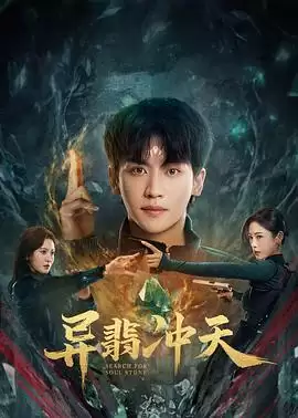 电视剧《异翡冲天》剧情说明