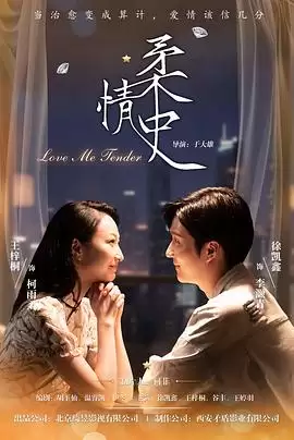 电视剧《柔情史》剧情说明