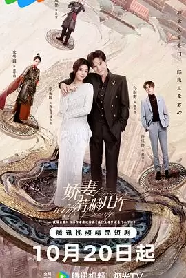 电视剧《娇妻芳龄几许》剧情说明