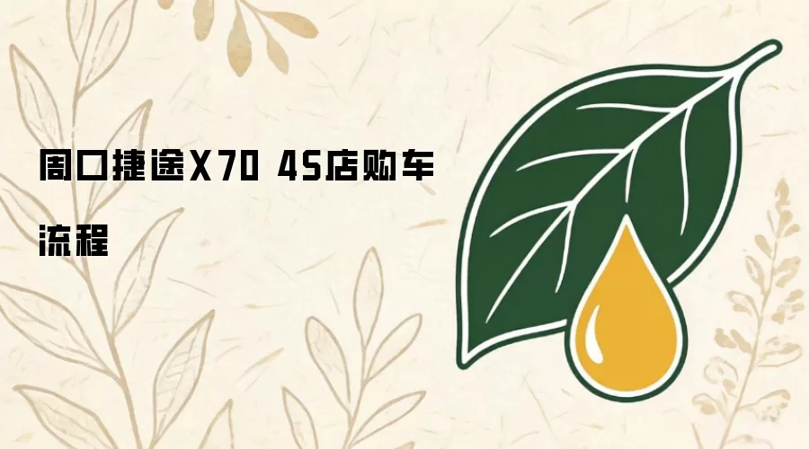 周口捷途X704S店购车流程