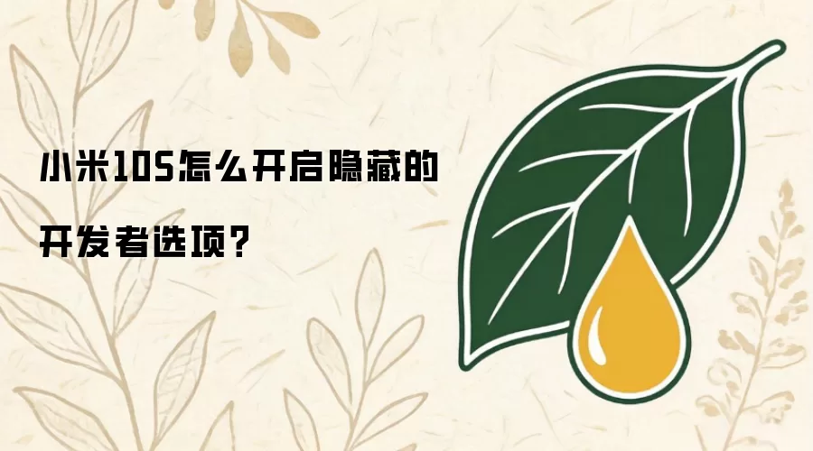 小米10S怎么开启隐藏的开发者选项