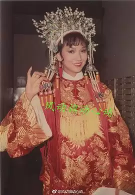 电视剧《癫凤狂龙粤语》剧情说明