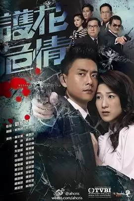 电视剧《护花危情国语》剧情说明