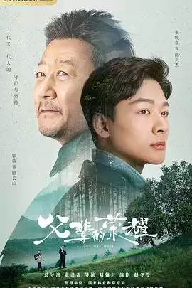 电视剧《父辈的荣耀》剧情说明