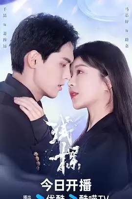 电视剧《试探》剧情说明