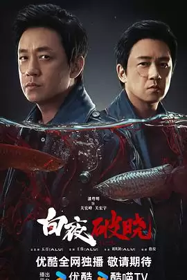 电视剧《白夜破晓》剧情说明