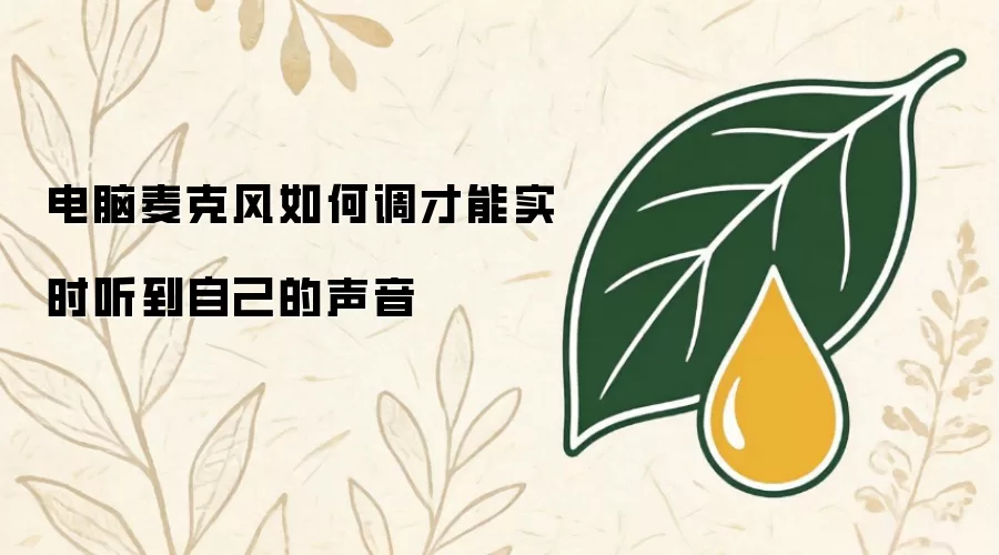 电脑麦克风如何调才能实时听到自己的声音