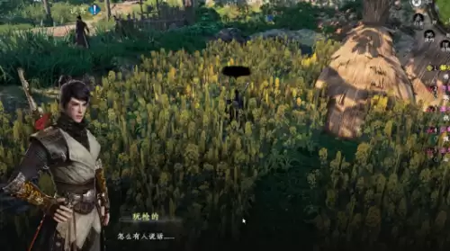 下一站江湖2丢失的手镯任务4 下一站江湖2丢失的手镯任务4