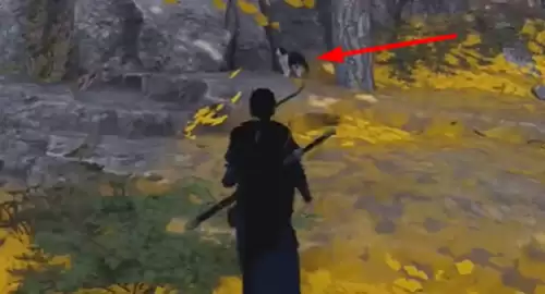 燕云十六声喵老大难当任务5