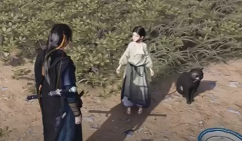 燕云十六声喵老大难当任务8
