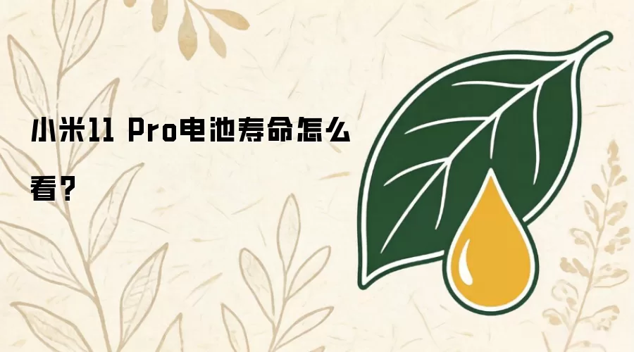 小米11Pro电池寿命怎么看