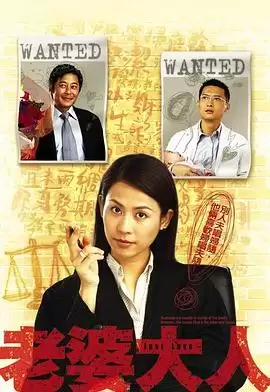 电视剧《老婆大人粤语》剧情说明