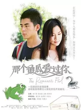 电影《那个傻瓜爱过你》剧情说明