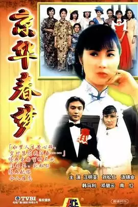 《京华春梦国语》剧情讲什么-人物关系