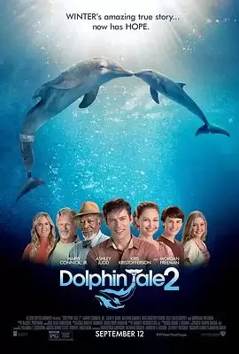 《海豚的故事2》剧情讲什么-人物关系