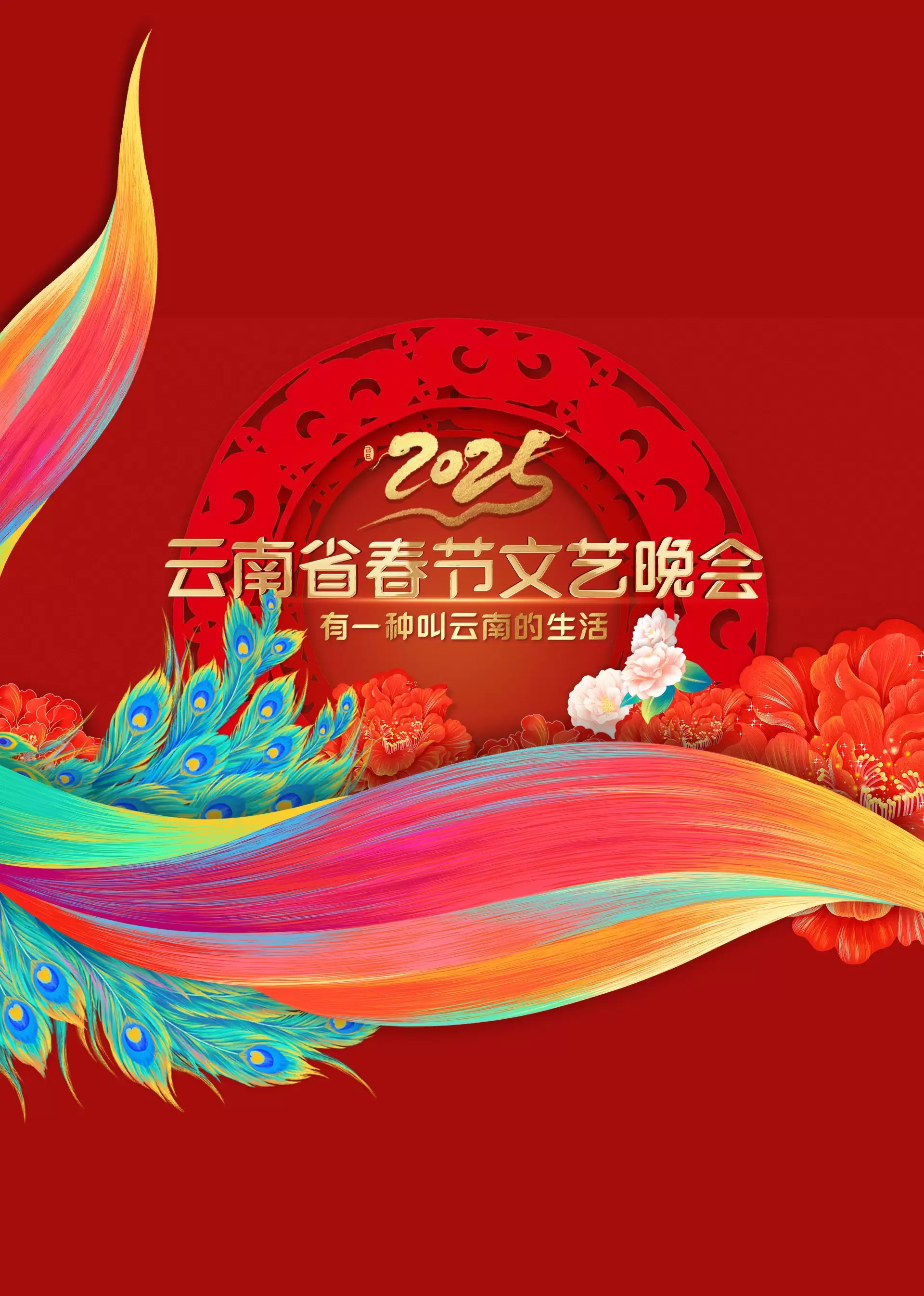 综艺《2025云南春晚》剧情介绍