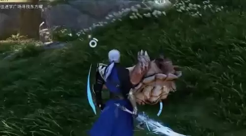 大乌龟