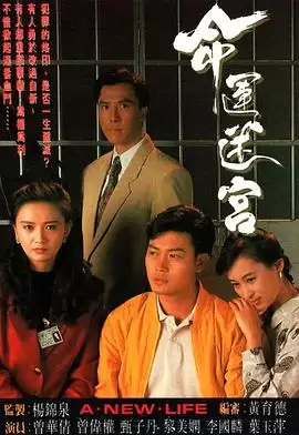 电视剧《命运迷宫粤语》剧情说明