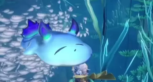 海兔