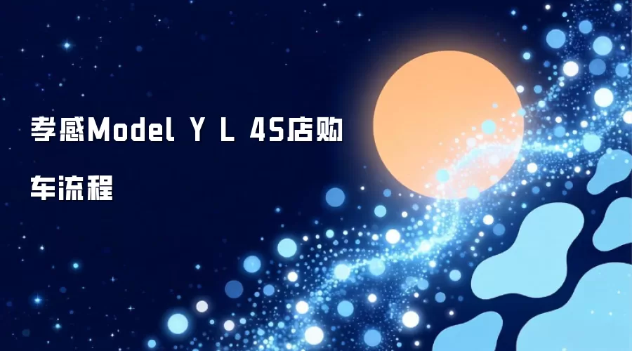 孝感Model Y L 4S店购车流程
