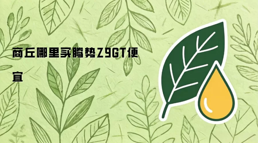 商丘哪里买腾势Z9GT便宜