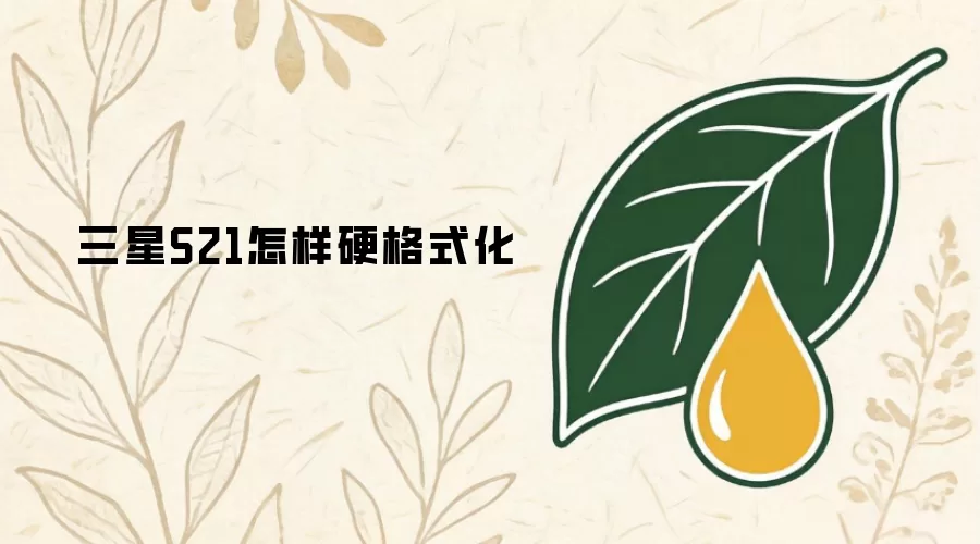 三星S21怎样硬格式化