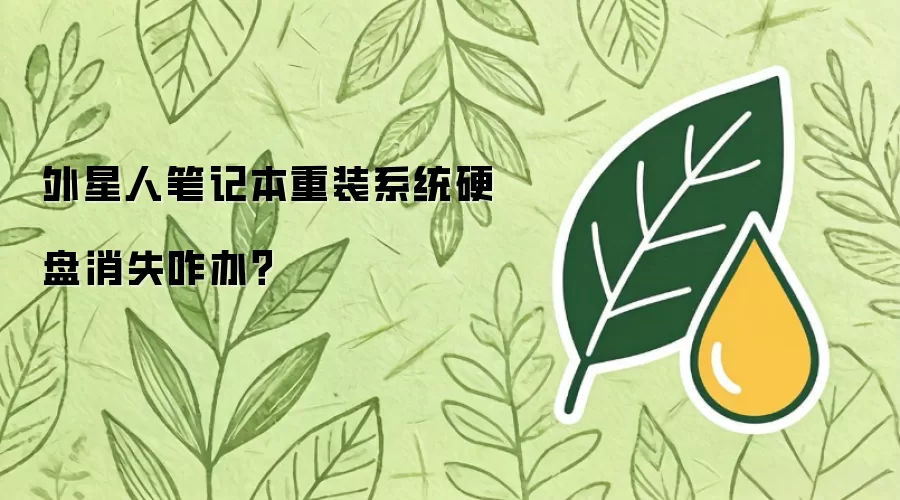 外星人笔记本重装系统硬盘消失咋办?
