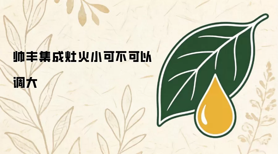 帅丰集成灶火小可不可以调大