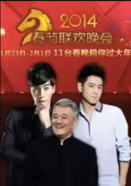 综艺《历年卫视春晚》剧情说明