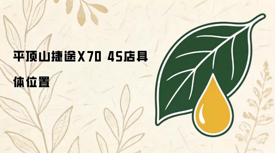 平顶山捷途X704S店具体位置