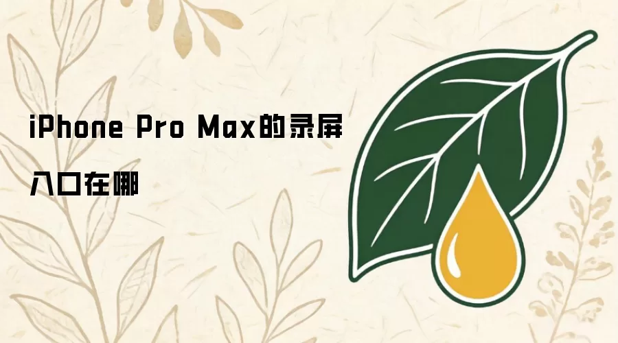 iPhoneProMax的录屏入口在哪