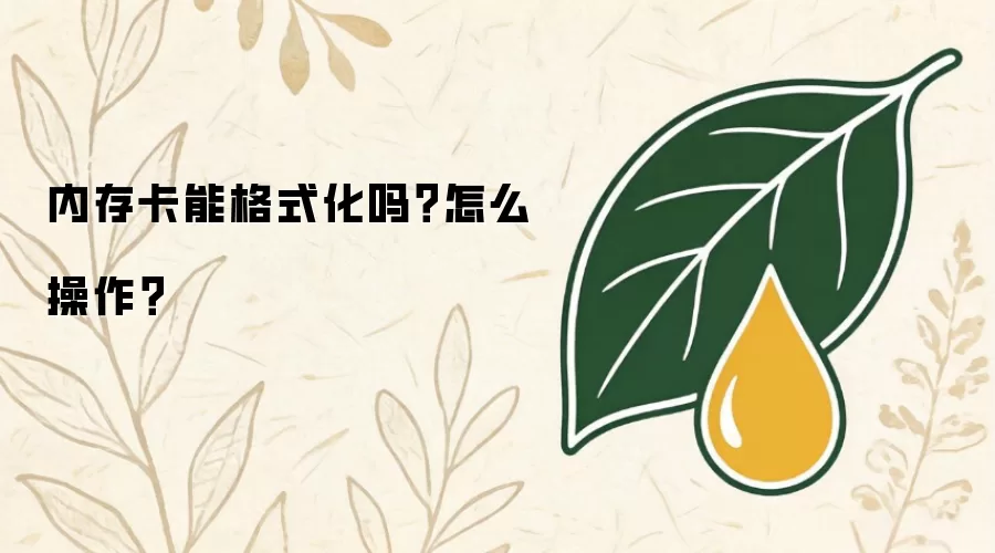 内存卡能格式化吗