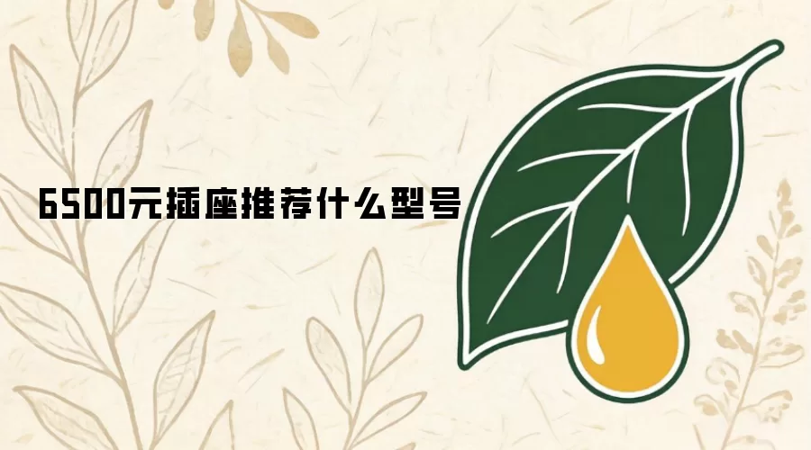 6500元插座推荐什么型号