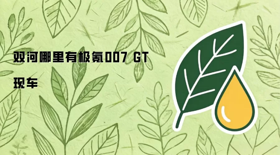 双河哪里有极氪007GT现车