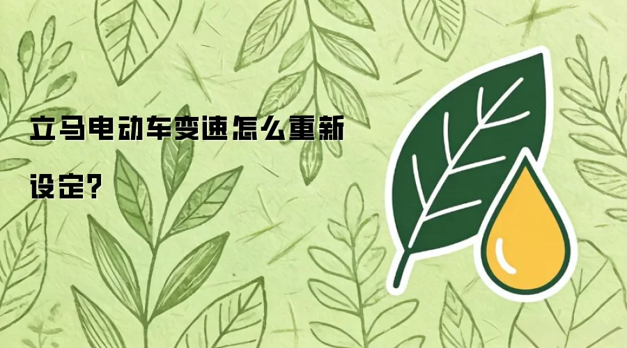 立马电动车变速怎么重新设定?