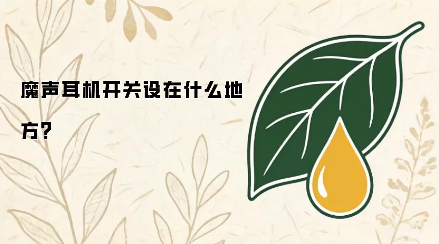 魔声耳机开关设在什么地方?