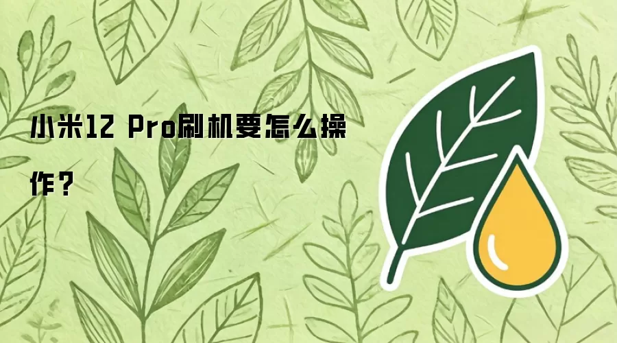 小米12 Pro刷机要怎么操作?