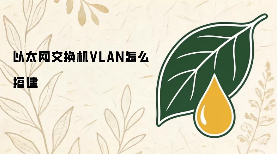 以太网交换机VLAN怎么搭建