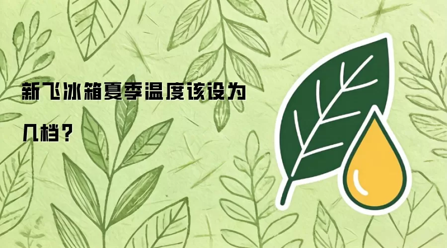 新飞冰箱夏季温度该设为几档