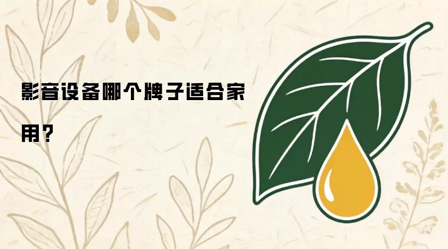 影音设备哪个牌子适合家用？
